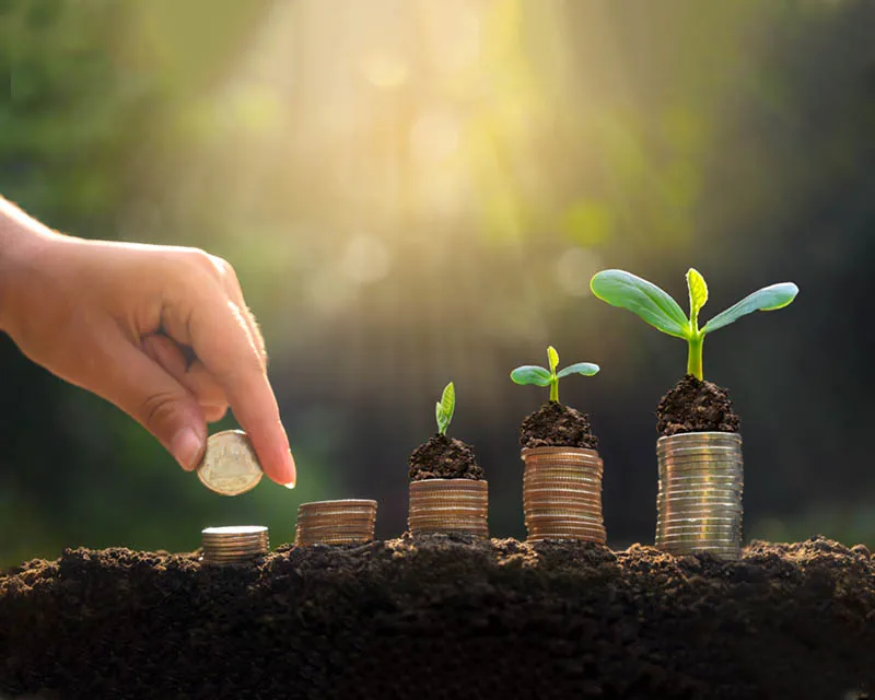 New Equitable and Innovative Educational Association